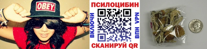 где купить наркотик  Кстово  Псилоцибиновые грибы мухоморы 